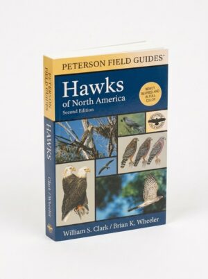 Rapaces d'Amérique du Nord